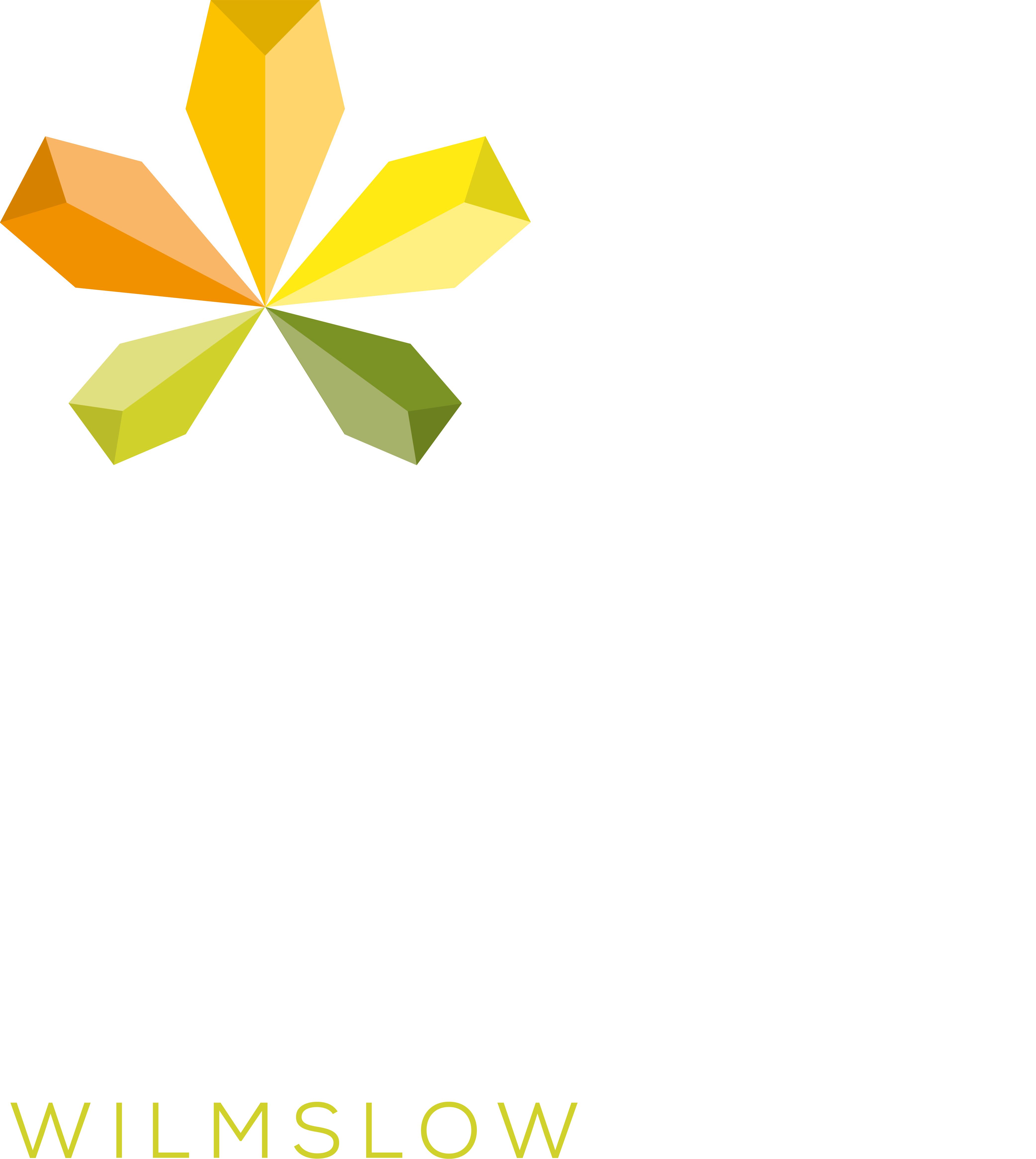 Fulshaw Park logo